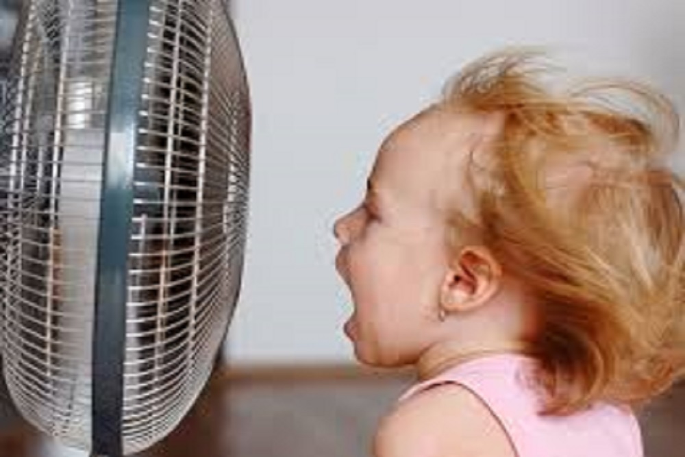 RICHMOND COUNTY CHAMBER OF COMMERCE: Senior Fan Drive