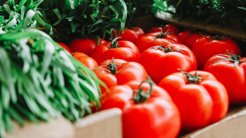 Chamber of Commerce of Cape Coral hosts Mid-Cape Sunshine Market on April 4, 2023 Chamber of Commerce of Cape Coral hosts Mid-Cape Sunshine Market on April 4, 2023