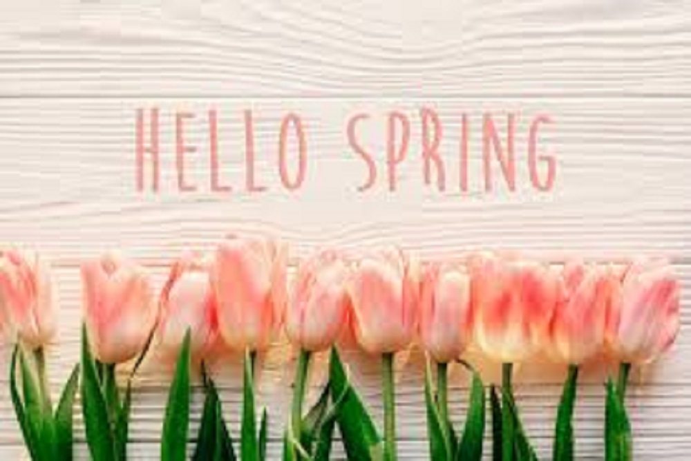 CITY OF NEW BERN: Spring Session Feb. 24th – April 12th