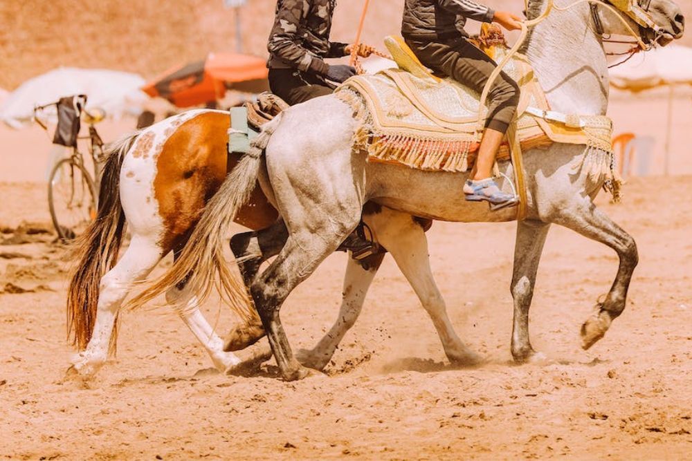 Bill Lipscomb Memorial Rodeo on Feb 25