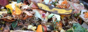 Message from the Zero Waste Team: Guide to Your Holiday Superpower: Reducing Food Waste!