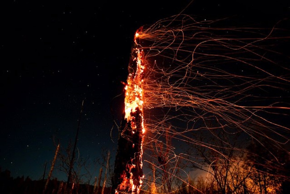 Bitterroot Hotshots from Montana