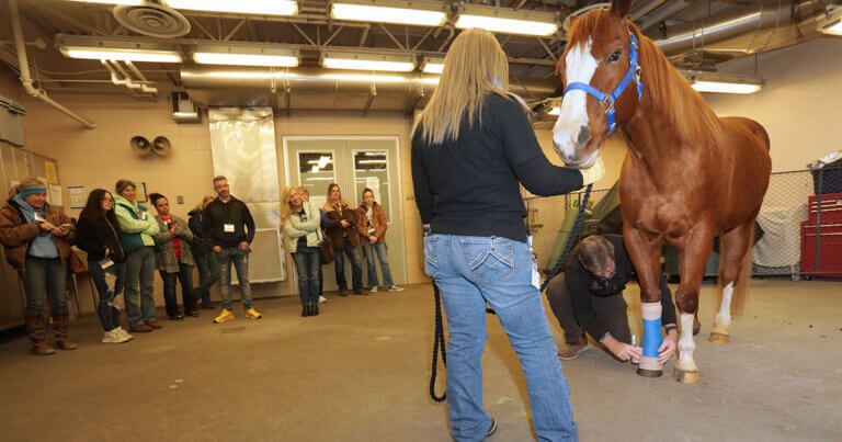 Popularity of Annual Equine Wellness Forum Continues as Event Returns to In-person Format