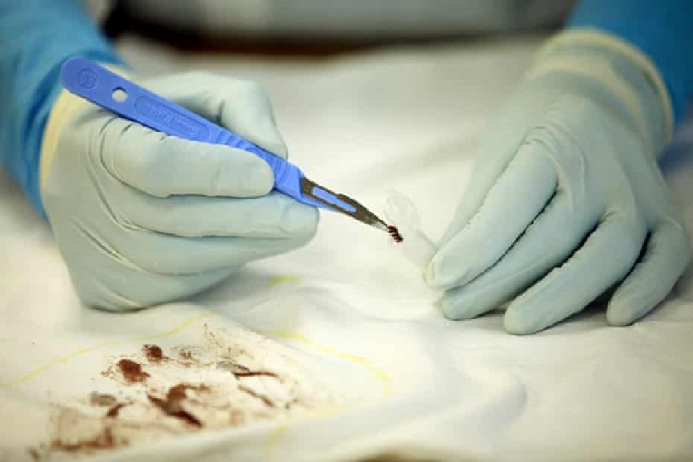 Forensics Practice to be held Feb 17