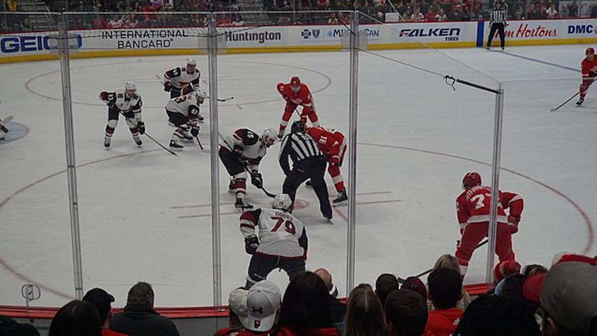 The Arizona Coyotes are working with a developer to plan a new arena for the team. The Arizona Coyotes are working with a developer to plan a new arena for the team.