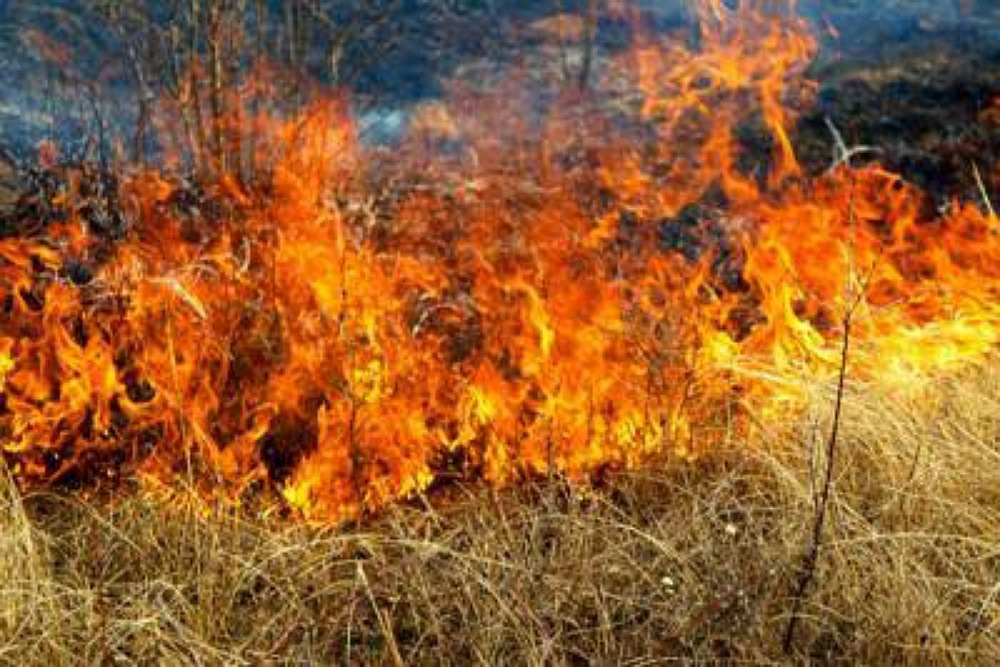 BOULDER COUNTY: Boulder County Open Space Closures remain in place due to extreme fire danger