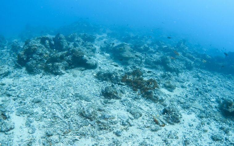 C&W Networks commissions 3,700-mile submarine cable