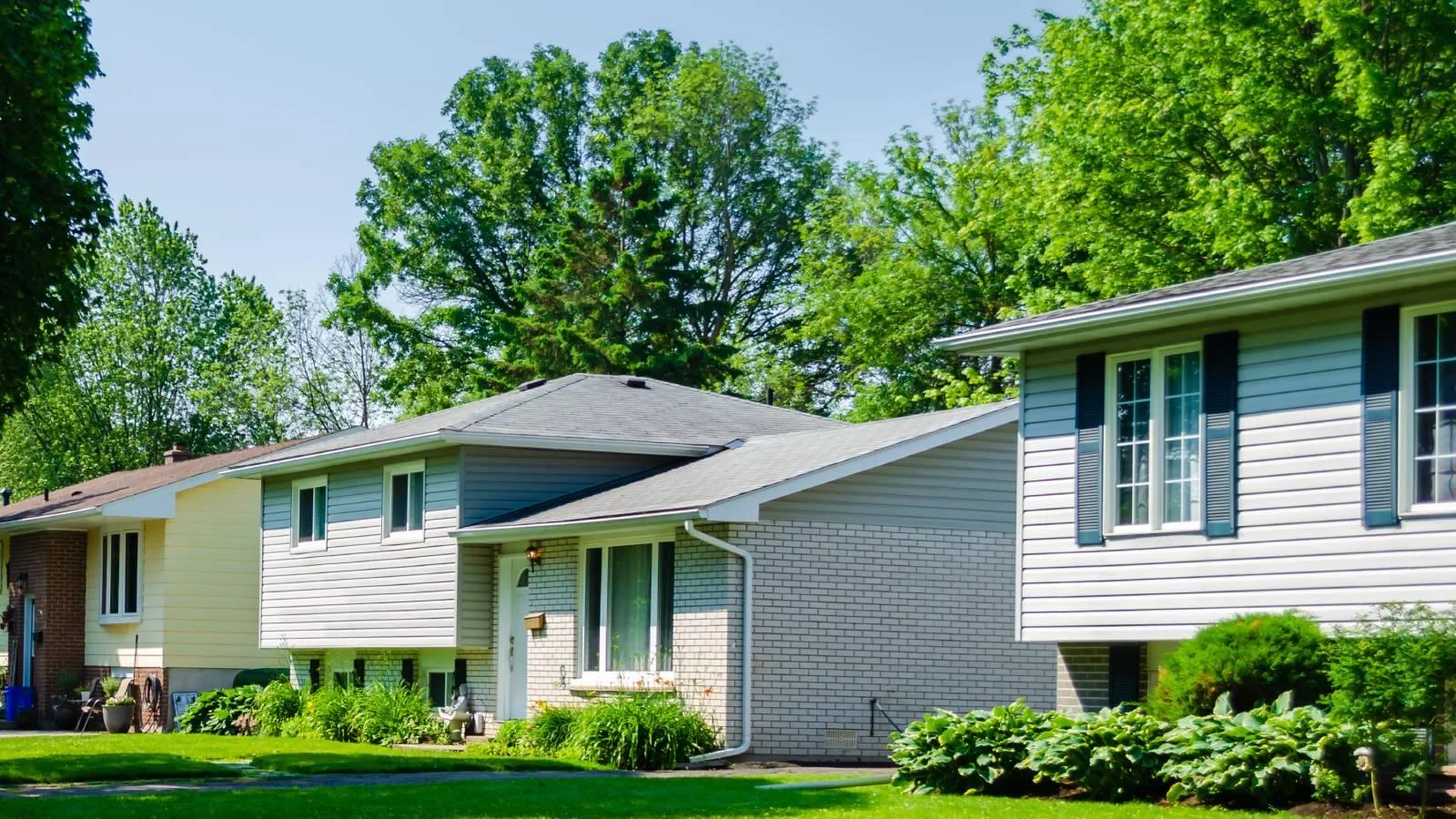 The new Boise County residents who came from across the U.S. in 2019 The new Boise County residents who came from across the U.S. in 2019