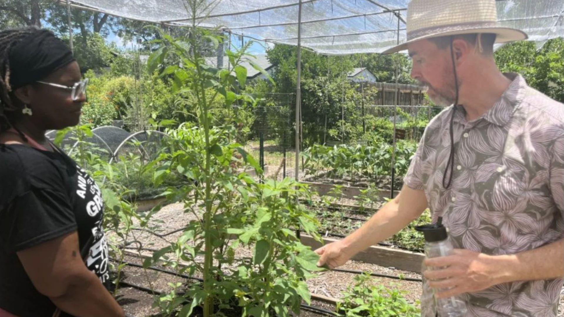Community Seed Share - Austin Parks and Recreation Department Community Seed Share - Austin Parks and Recreation Department
