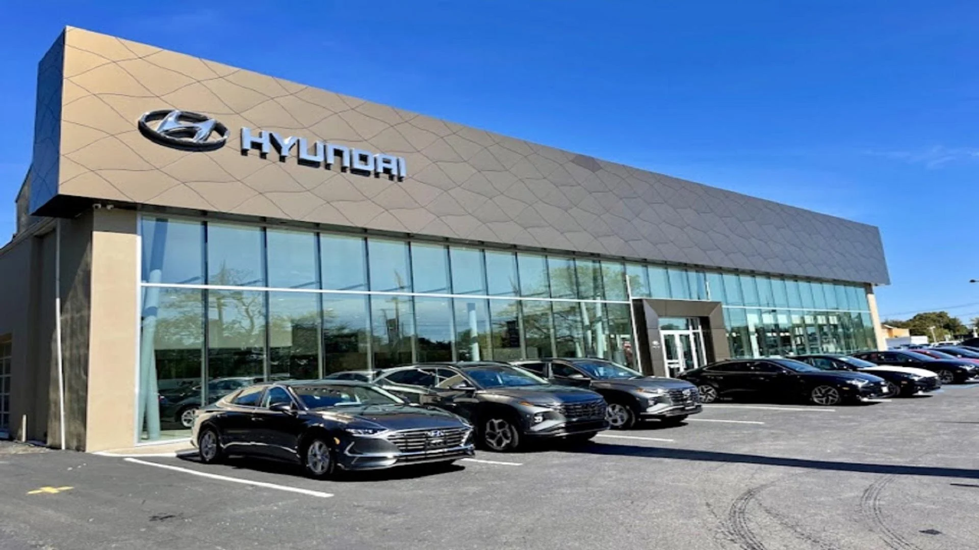Advantage Hyundai to President Trump: ‘Customers were not willing to buy electric vehicles’
