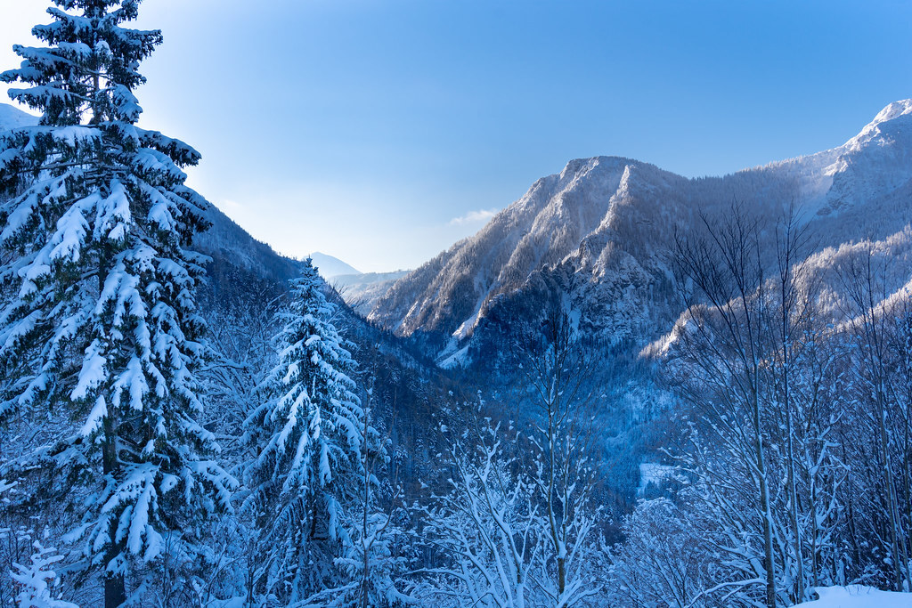 Great Mountain Forest Winter Series Begins Great Mountain Forest Winter Series Begins