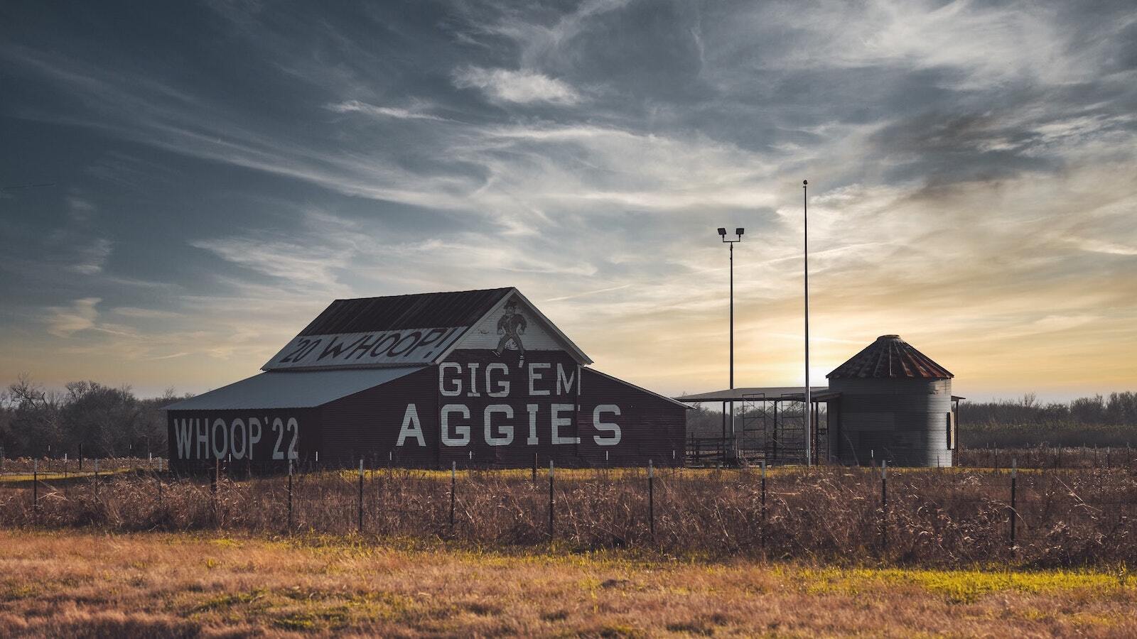 Miller from America First Legal: Texas A&M University’s use of DEI to hire is ‘illegal and unconstitutional racial discrimination’ Miller from America First Legal: Texas A&M University’s use of DEI to hire is ‘illegal and unconstitutional racial discrimination’