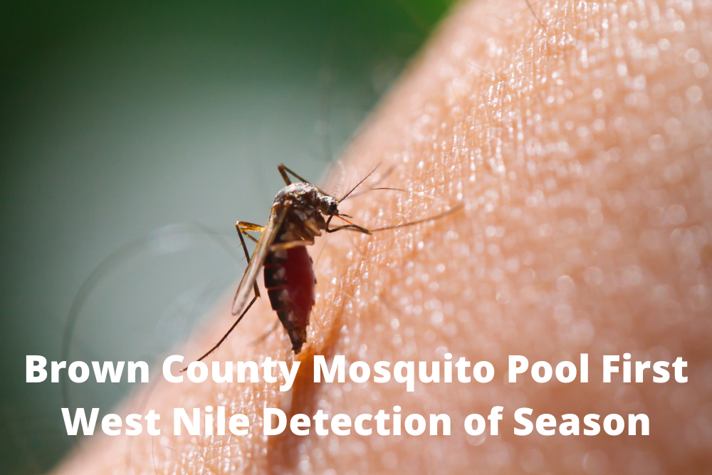 Brown County Mosquito Pool First West Nile Detection of Season Brown County Mosquito Pool First West Nile Detection of Season
