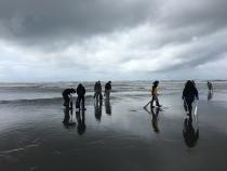 Razor clam digs on all coastal beaches remain closed due to persistent marine toxin levels