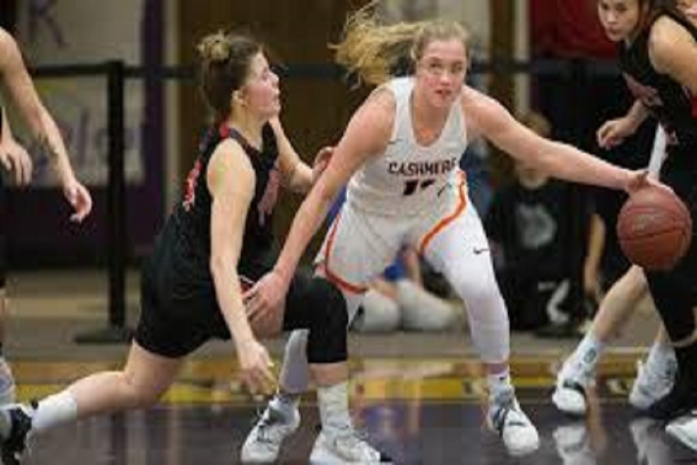 MESSMER CATHOLIC SCHOOLS: Basketball: Girls Varsity Game to be held November 19