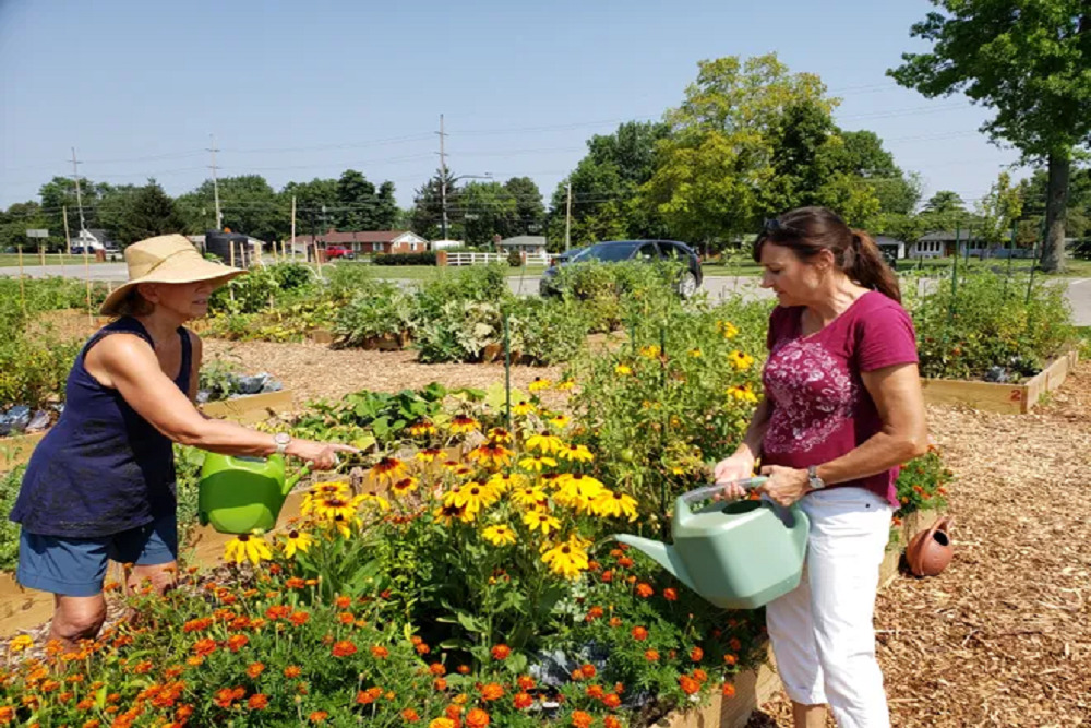Clermont Community Garden Meeting on April 21