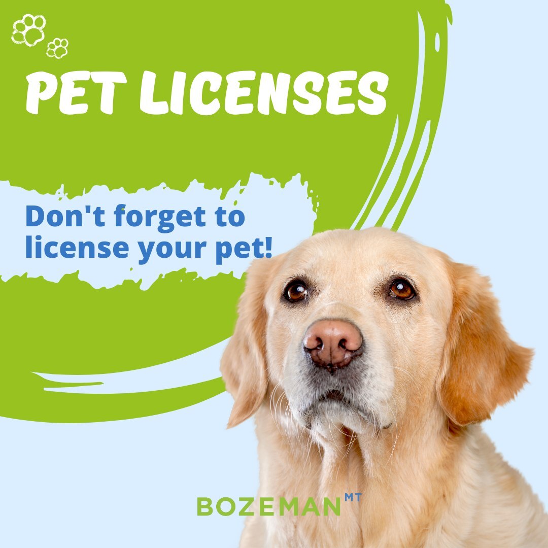City of Bozeman Pet Licenses