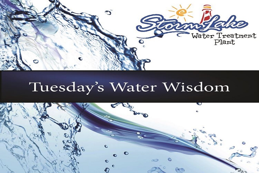 Water Wisdom #37