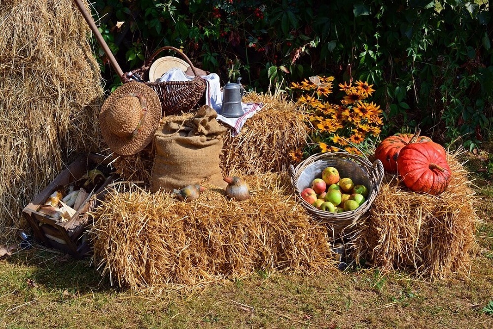 Harvest Festival on October 23