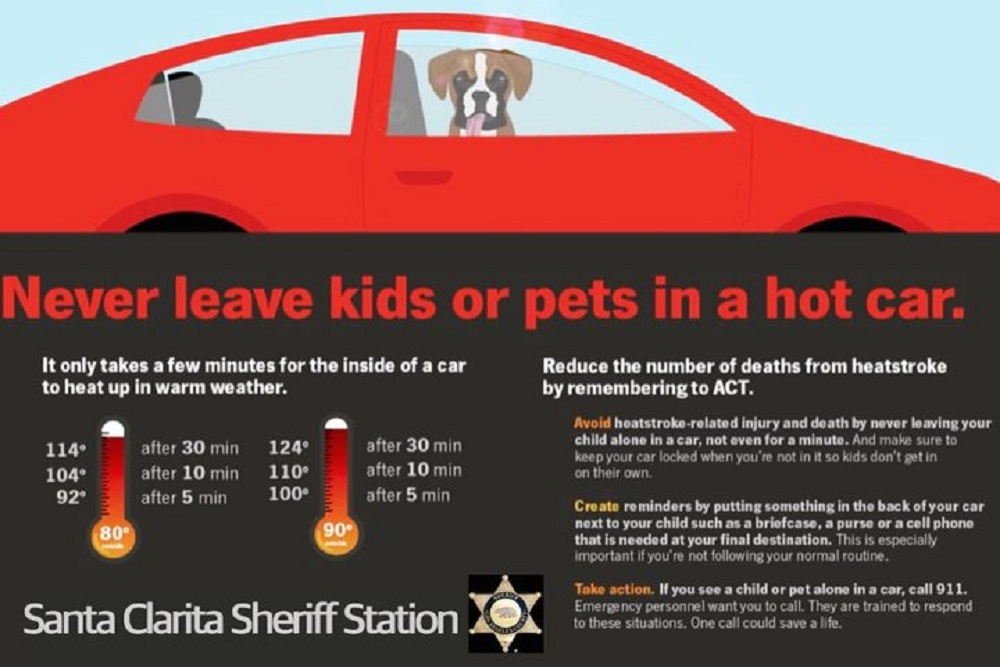 Never Leave Your Pet or Child Locked in a Hot Car
