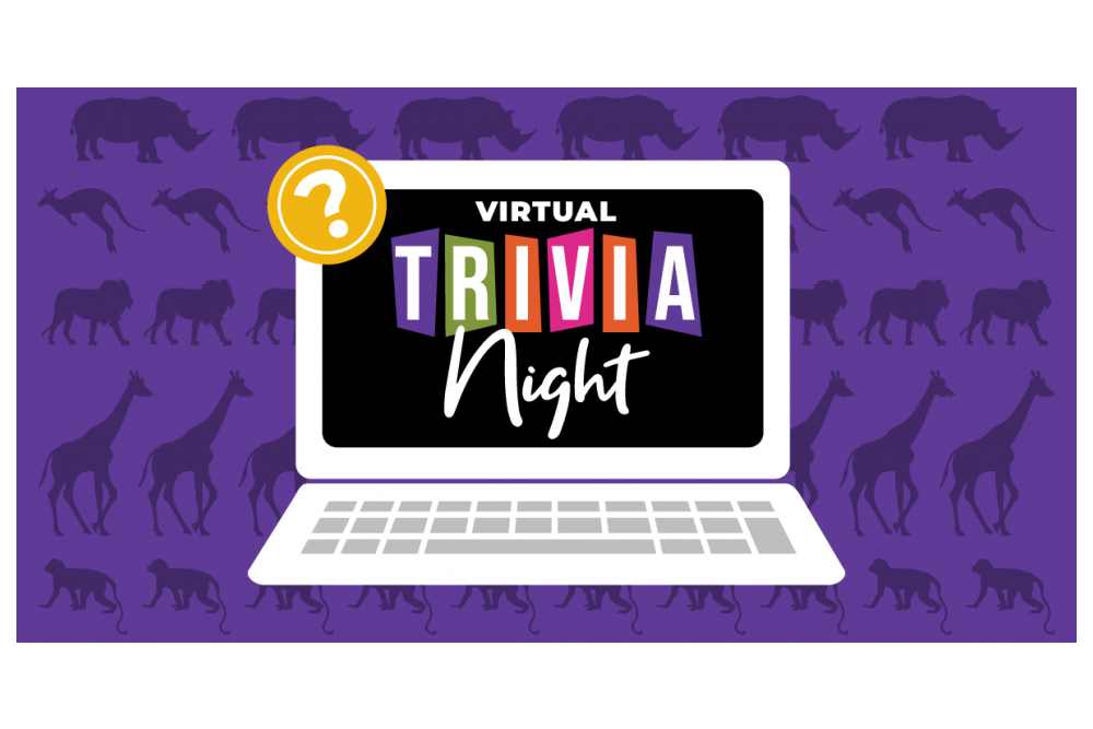 Virtual Trivia Night