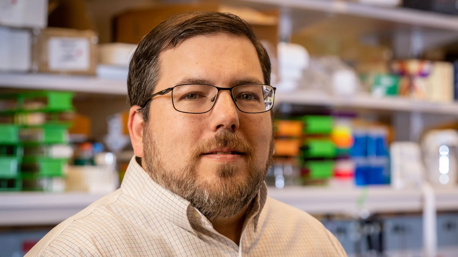 Brian Sheridan, Associate Professor Brian Sheridan, Associate Professor