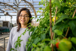 Controlled environment ag program takes root at Texas A&M AgriLife