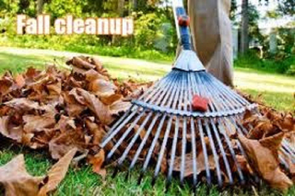 TOWN OF BENSON: Fall Yard Debris Collection