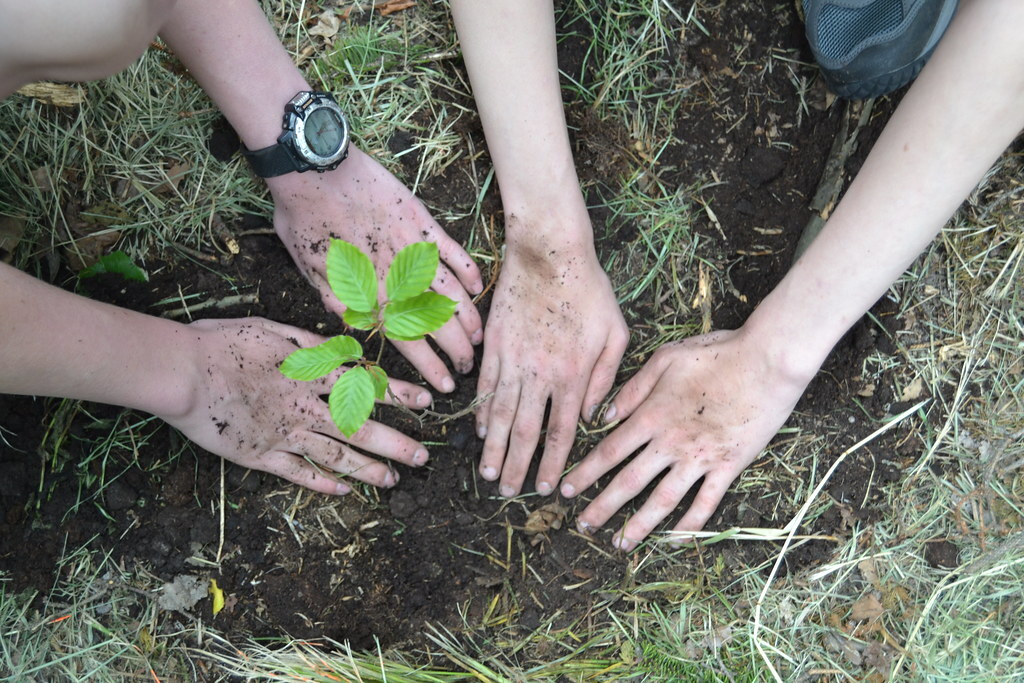All Day Training On Soil & Plant Health