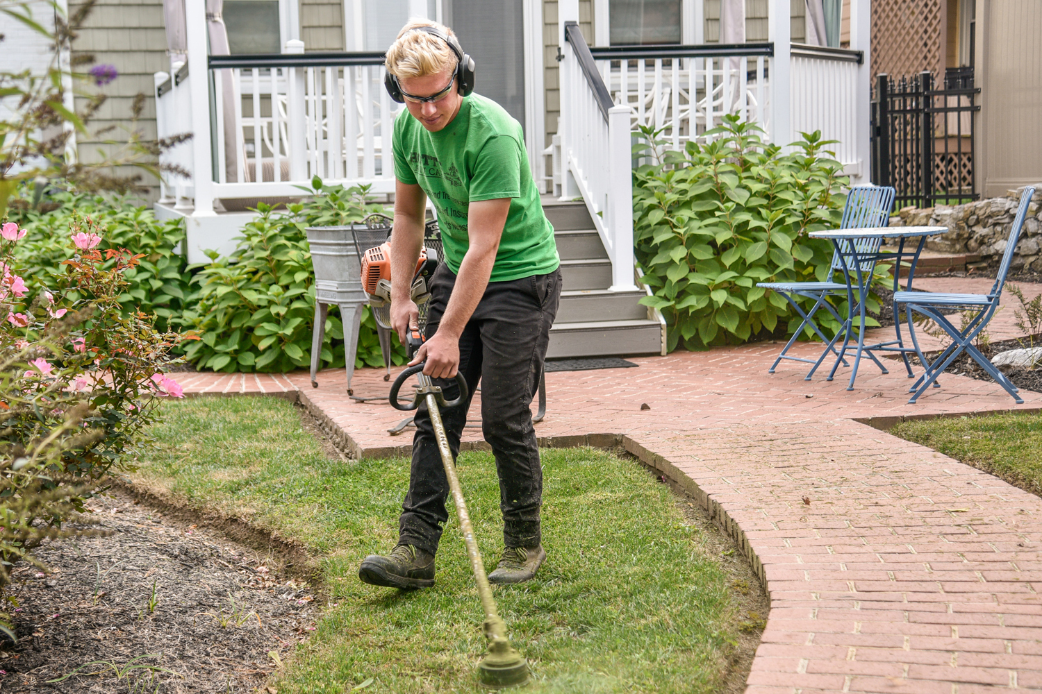 Mandatory Free Landscaping Certification Mandatory Free Landscaping Certification