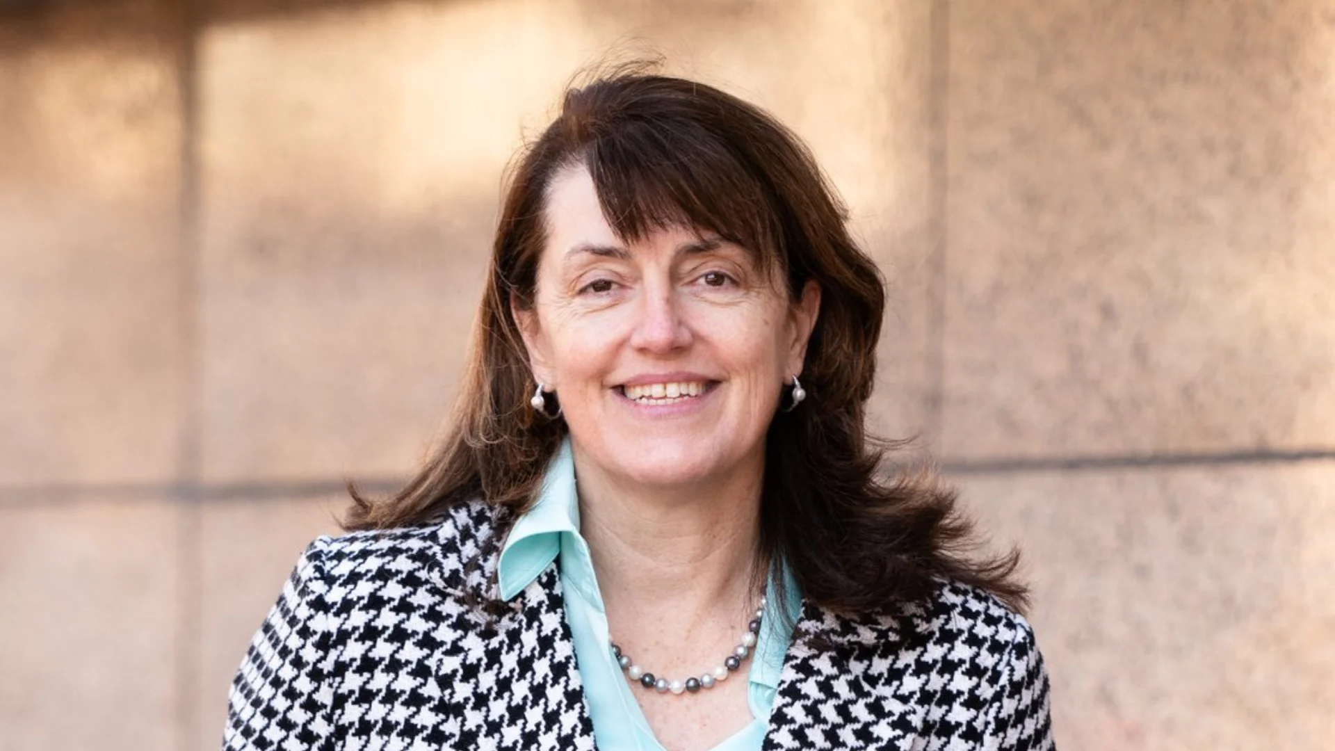 Kathleen Sweet New York State Bar Association President Kathleen Sweet New York State Bar Association President