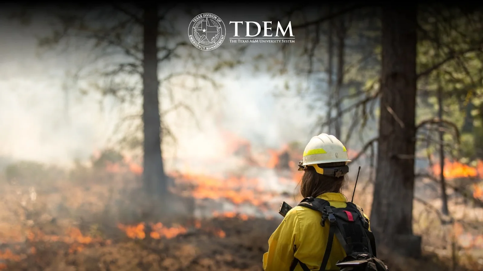 Wildfire Danger - Texas Division of Emergency Management (TDEM) Wildfire Danger - Texas Division of Emergency Management (TDEM)