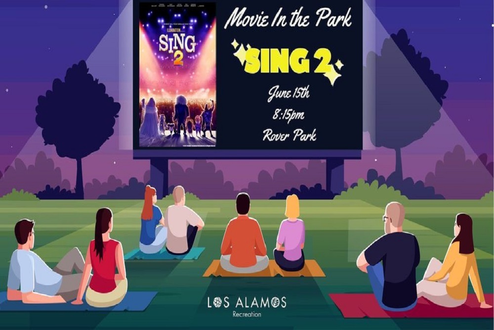 Movie in the Park