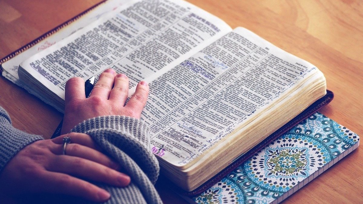 Divine Word Catholic Church in Kirtland, Ohio shared a reflection from Rev. Dave Woost on the 32nd Sunday in Ordinary Time. Divine Word Catholic Church in Kirtland, Ohio shared a reflection from Rev. Dave Woost on the 32nd Sunday in Ordinary Time.