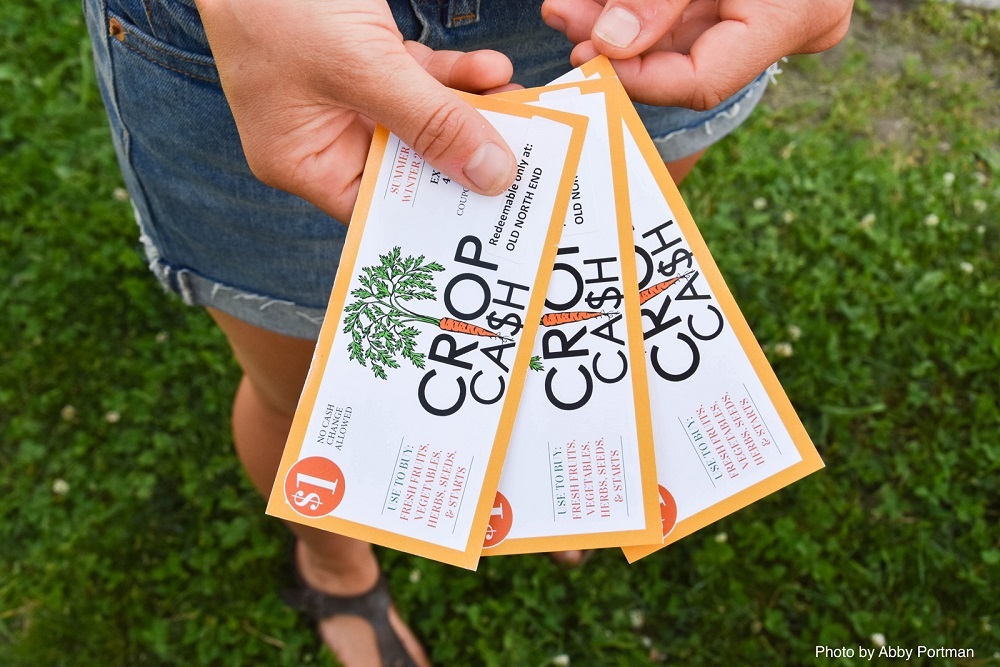 Crop Cash: Vermonters shopping with 3SquaresVT/SNAP benefits will have triple the spending power