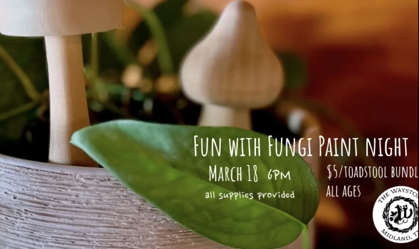 Waystone to host toadstool painting event to welcome spring