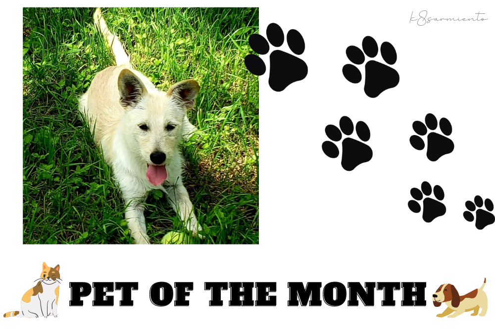 Pet of the Month: Neo