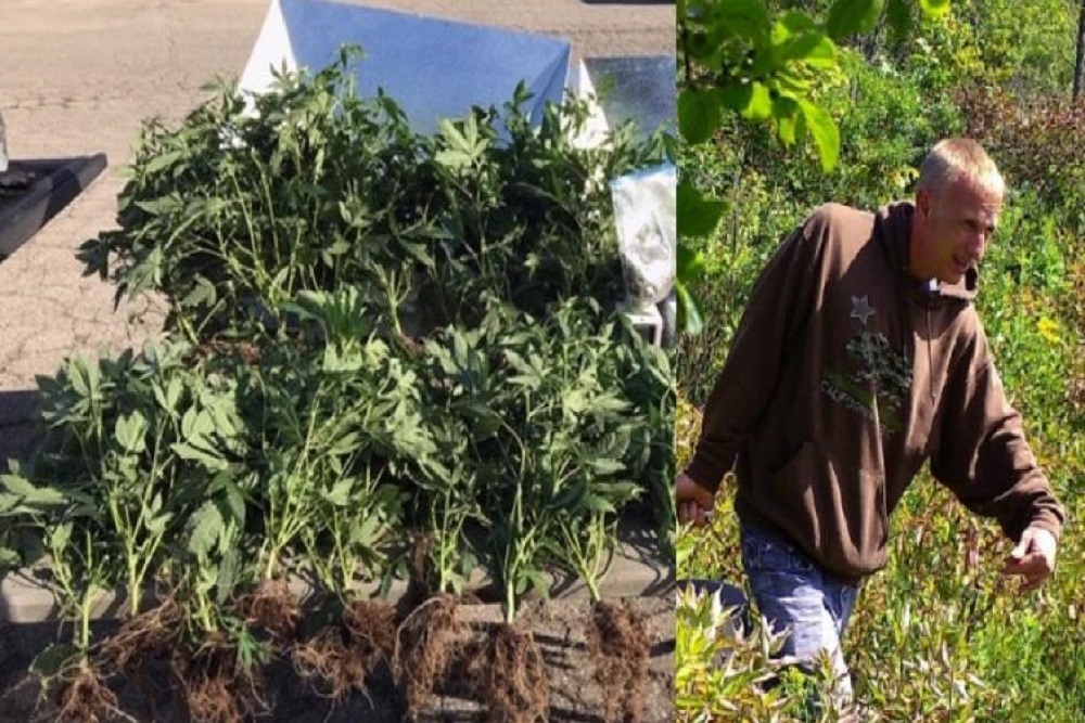GROW Racine