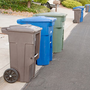 Parks and Recreation to Offer Free Christmas Tree Recycling