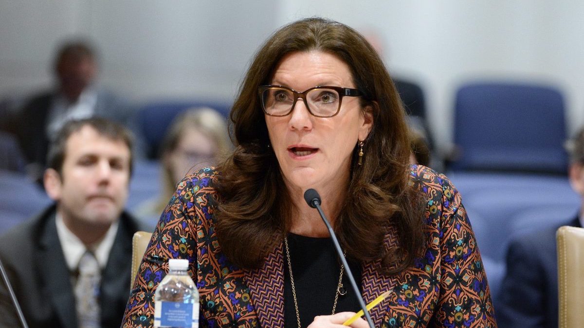 Sen. Julie Rosen Sen. Julie Rosen