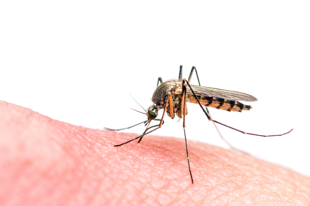 TOWN OF BEL AIR: Maryland Department of Agriculture (MDA) Mosquito Control Program