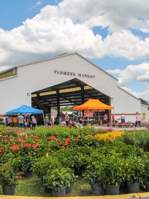 SC Energy Office awarded ,000 in federal mini-grants