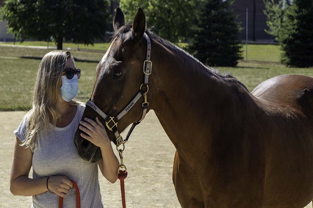 Therapist Brings Benefits Of Horse Therapy To Wisconsin Mental Health Hospitals