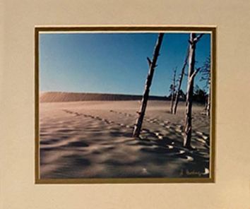 Gallery Exhibit: Lori Gorbacz In-Person on March 15