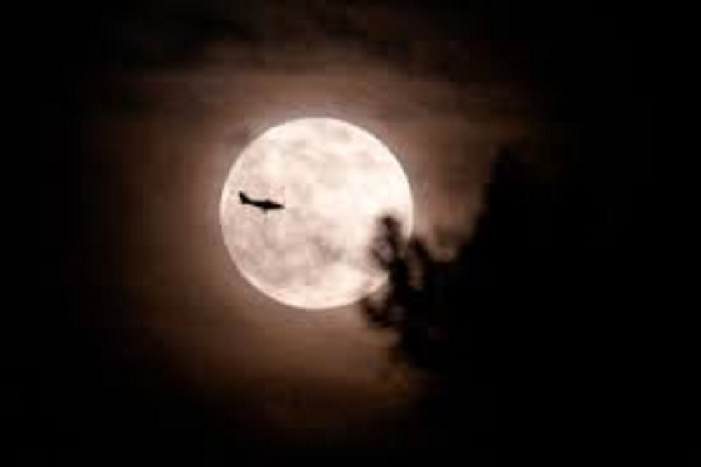 DURHAM PARKS AND RECREATION DEPARTMENT: Full Moon Fever Bike Ride