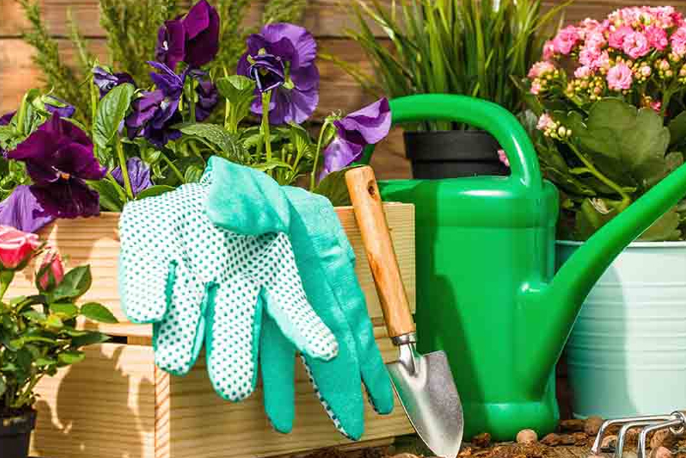 National Seed Swap Day on January 27, 2022 National Seed Swap Day on January 27, 2022