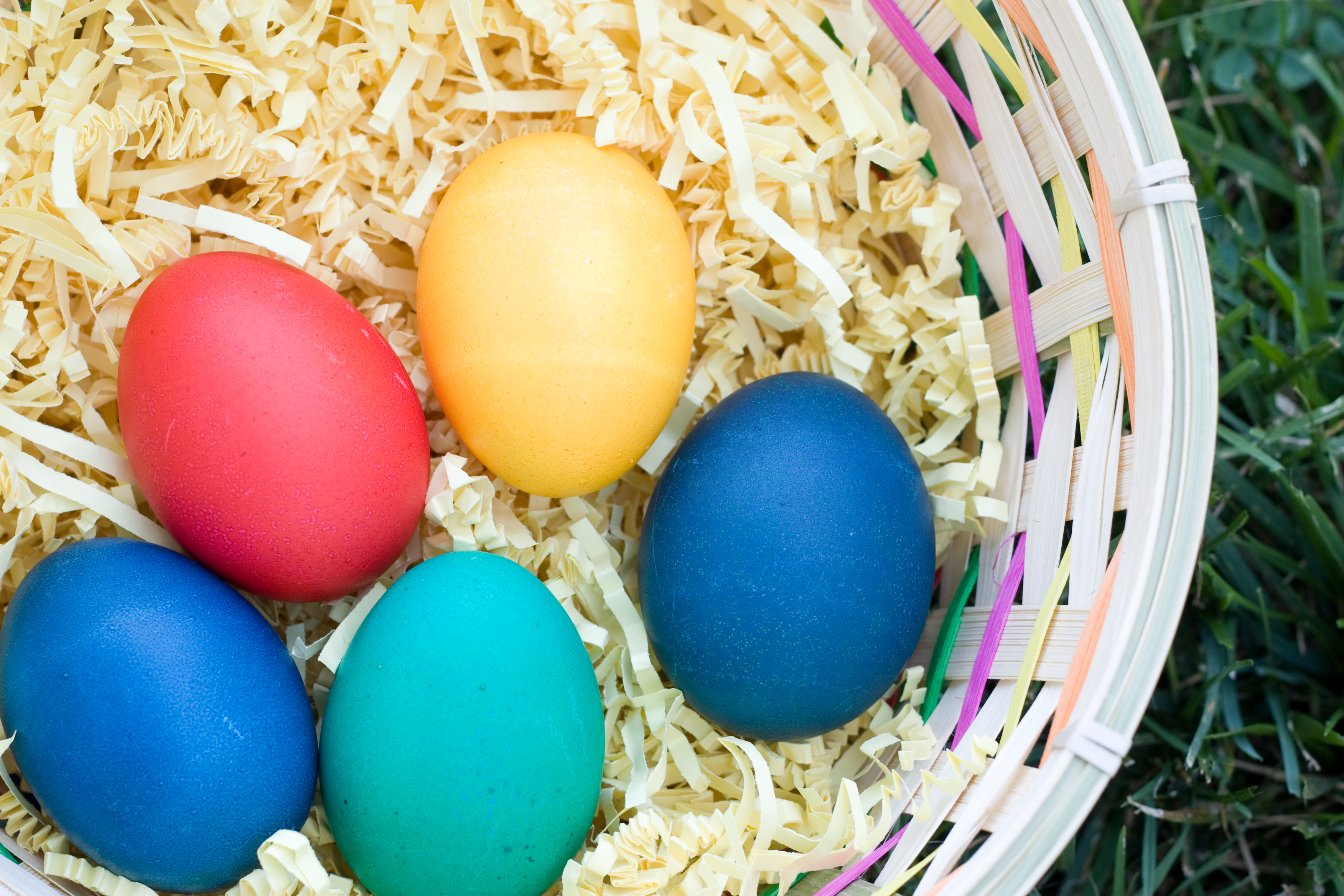 Easter Egg Hunt on April 16