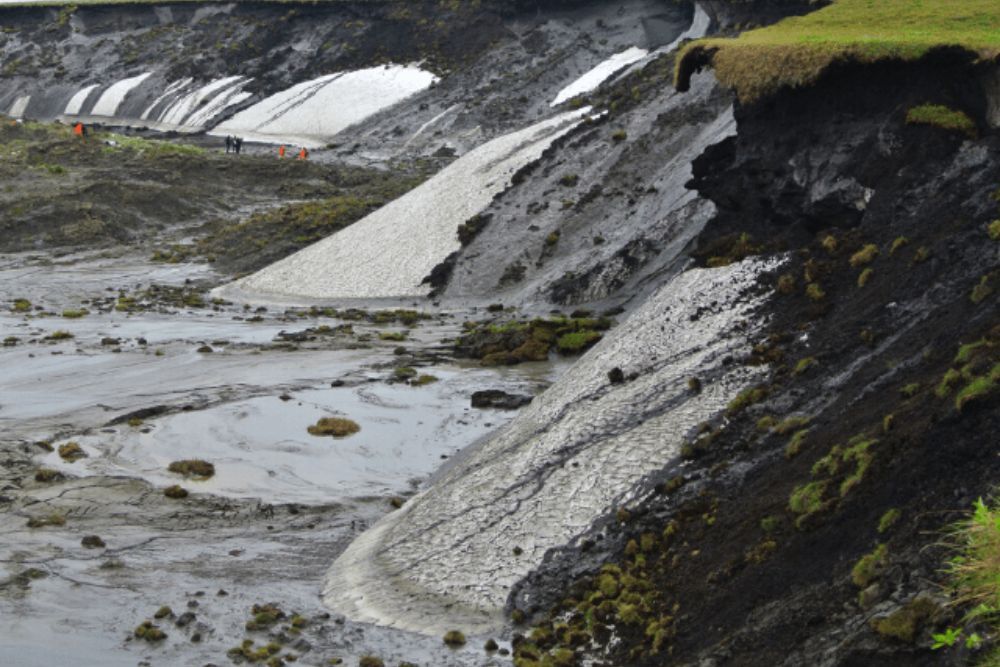 STARTING SMALL TO BETTER UNDERSTAND KEY STEPS IN THE CARBON CYCLE