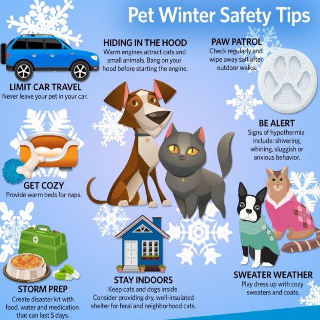 It’s cold out there take care of yourself, and your fuzzy friends
