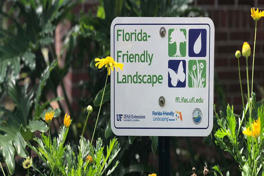 Virtual and In-Person Classes on Florida-Friendly Landscaping